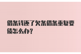 武夷山遇到恶意拖欠？专业追讨公司帮您解决烦恼